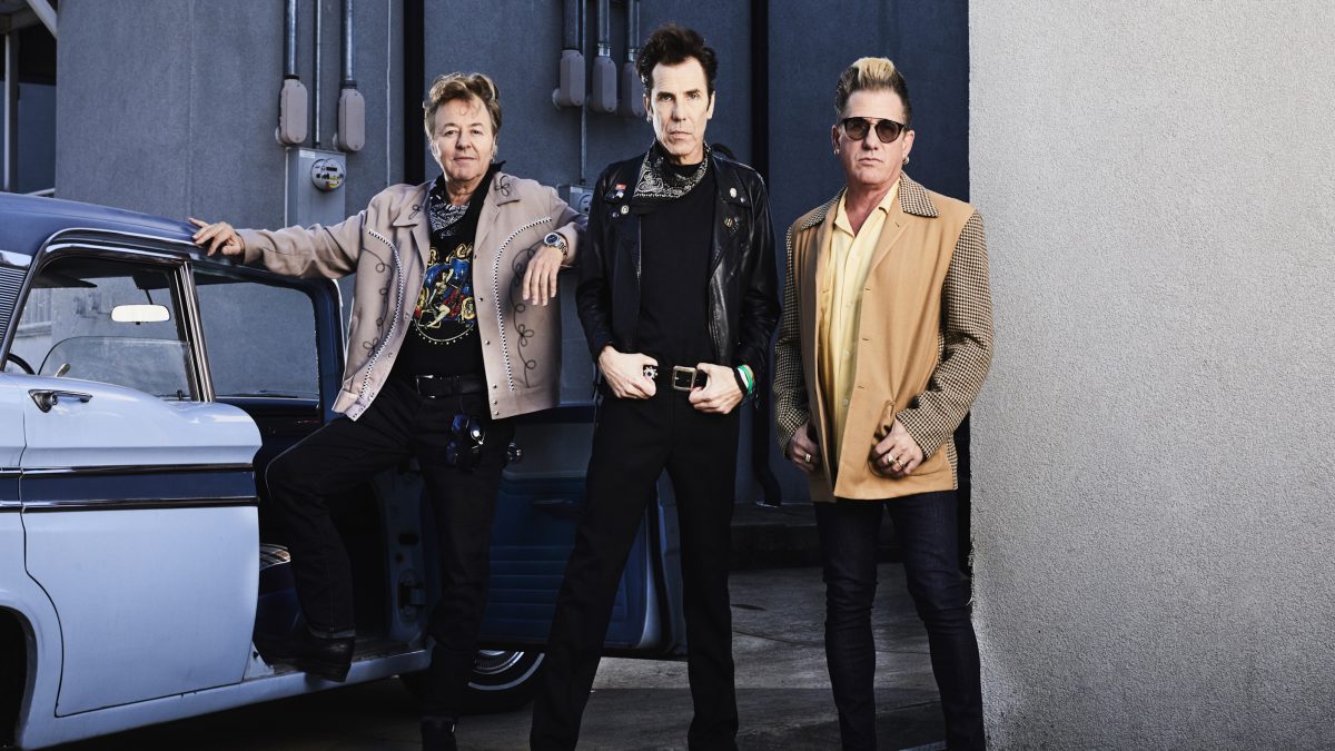 Stray Cats