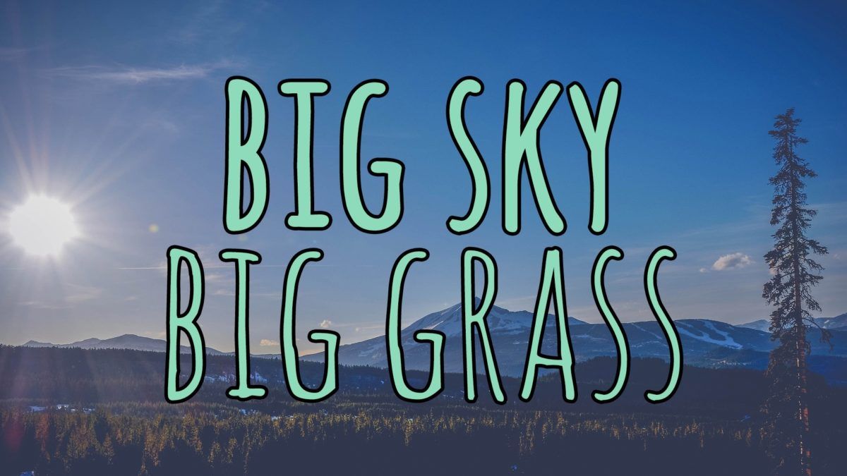 Big Sky Big Grass