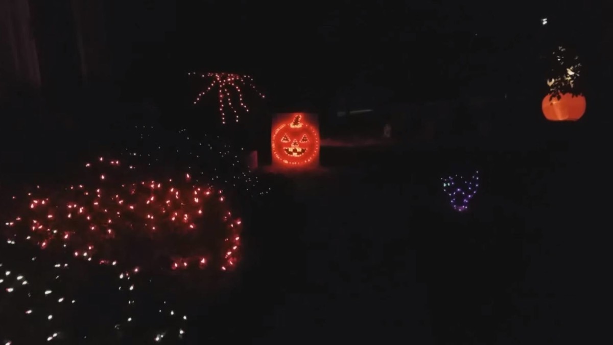 Phish Fan Readies 'Your Pet Cat' Halloween Light Show