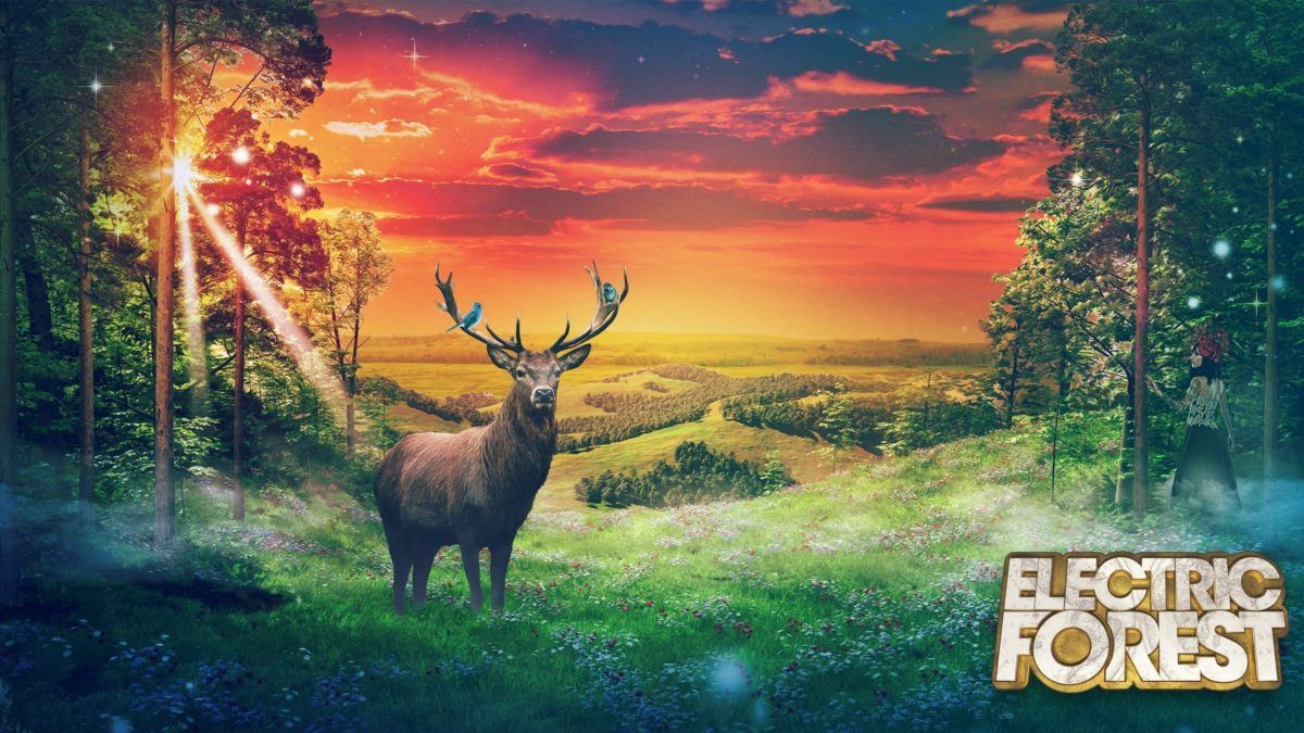 Electric Forest Reveals 2016 Lineup Additions
