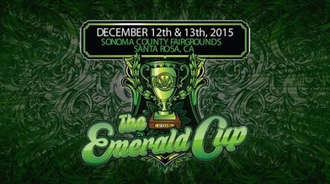 Emerald-Cup