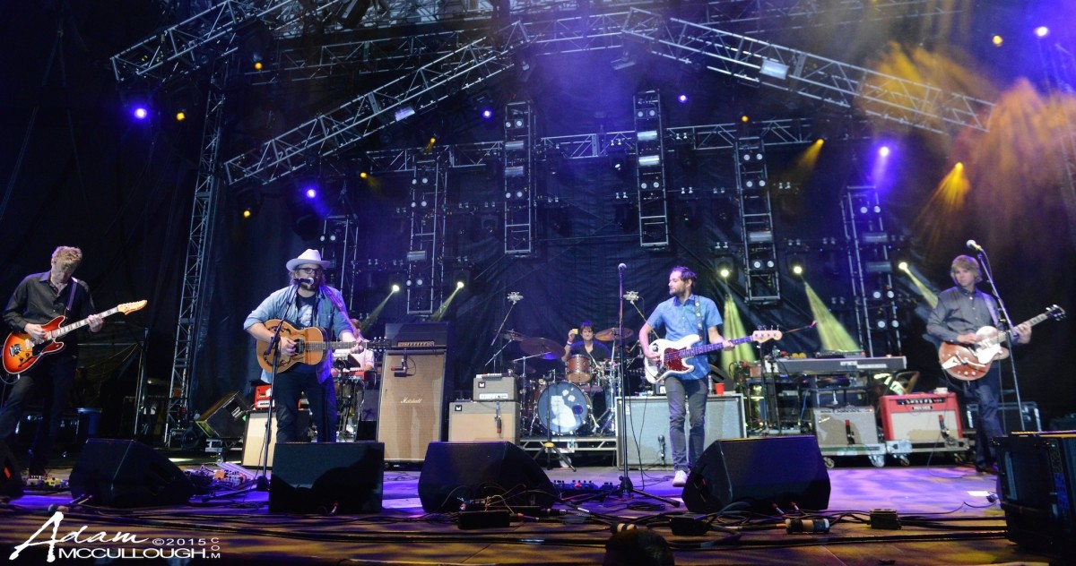 Wilco Vibes McCullough Crop