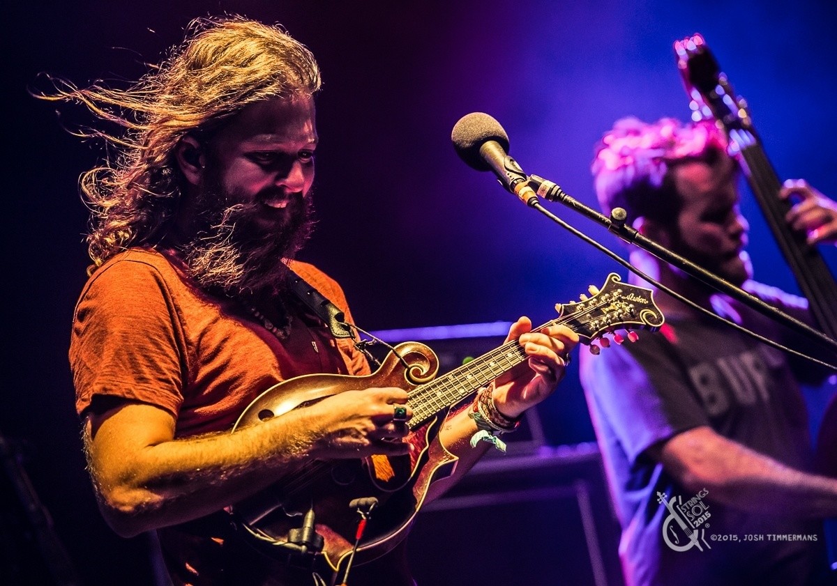 Paul Hoffman Strings And Sol