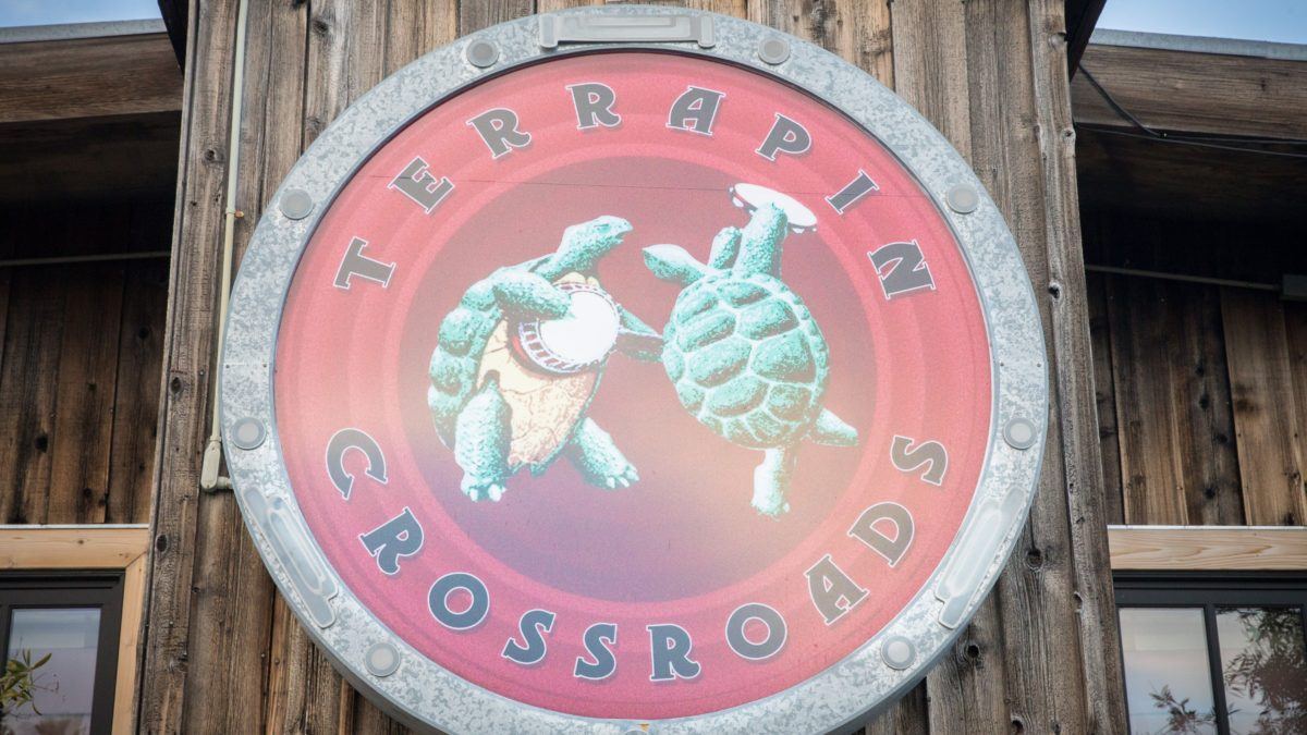 Phil Lesh Plays Set With Terrapin Family Band At Terrapin Crossroads