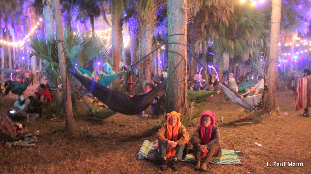 Okeechobee Day Four Hammocks