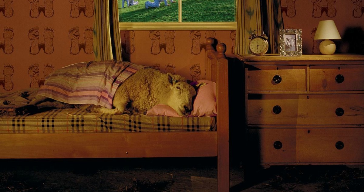 Sleep Playlist Crop