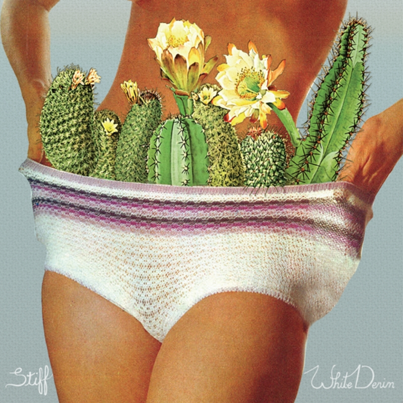 Stiff Cover