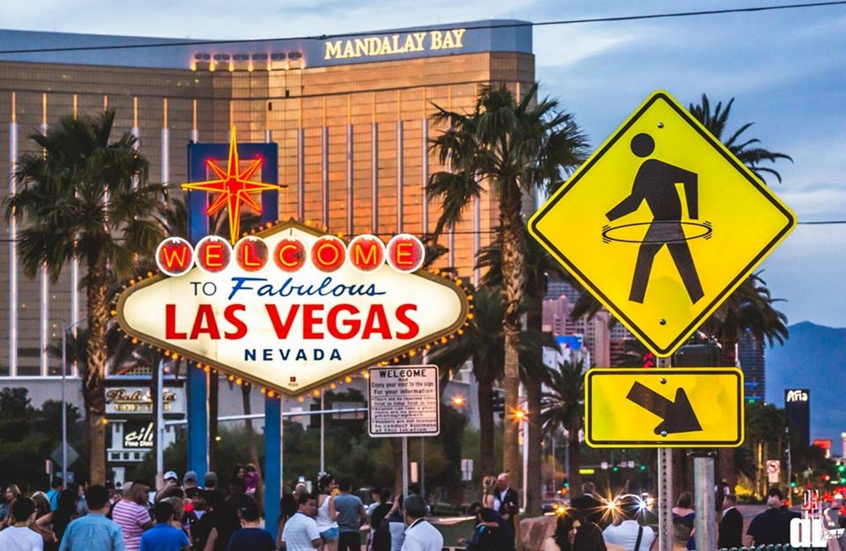 scivegas graphic