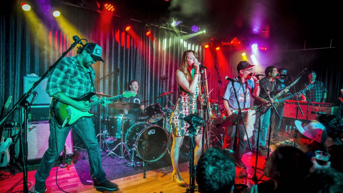 Kung Fu Rocks For Bernie Sanders With Oteil Burbridge, Jon Fishman & More
