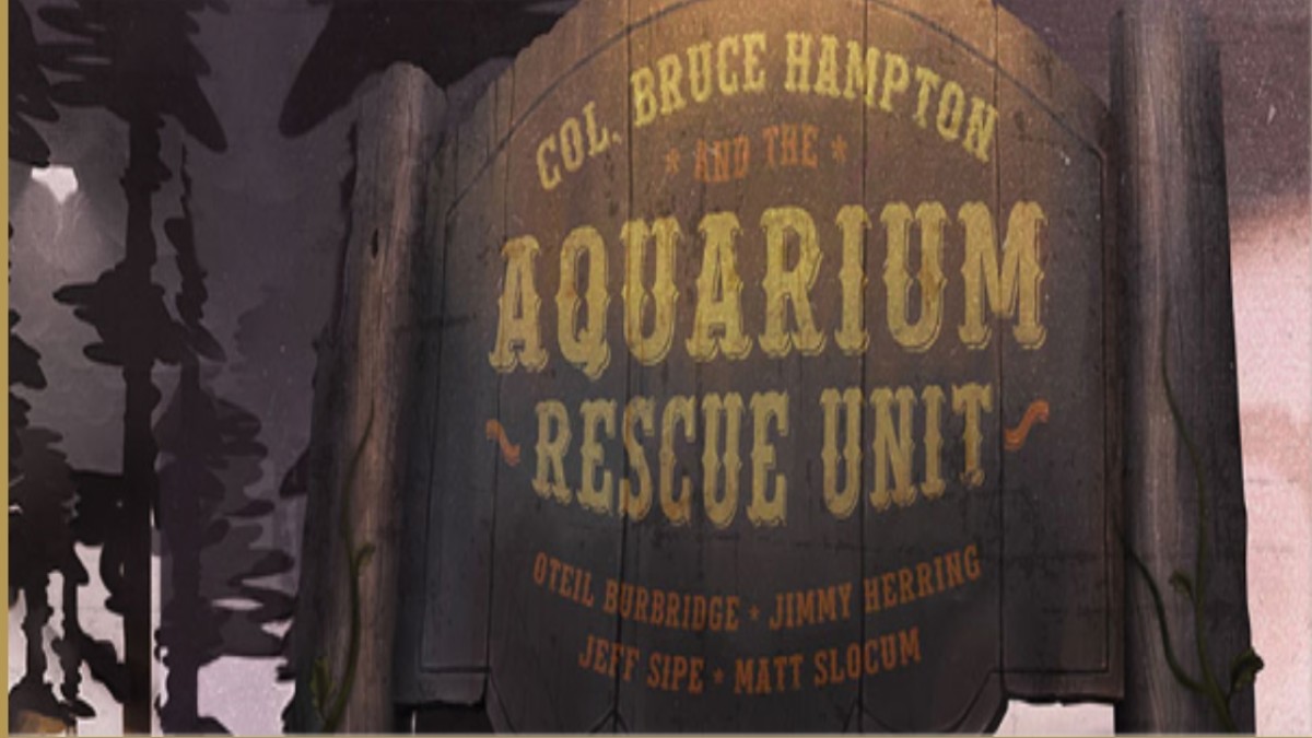 Aquarium Rescue Unit To Reunite For Summer Concerts