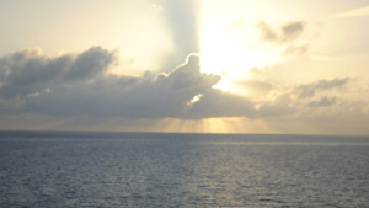 Jam Cruise Journal | An Afternoon Delight At Sea