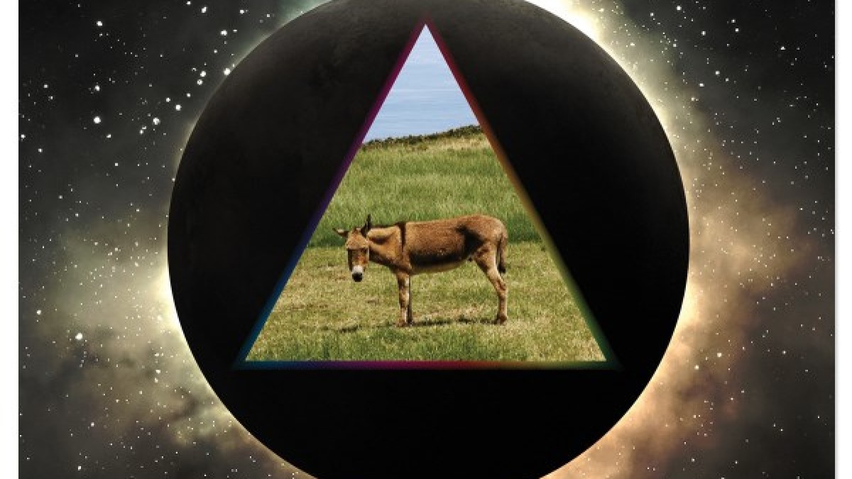 Official Video | Dark Side Of The Mule - Fearless