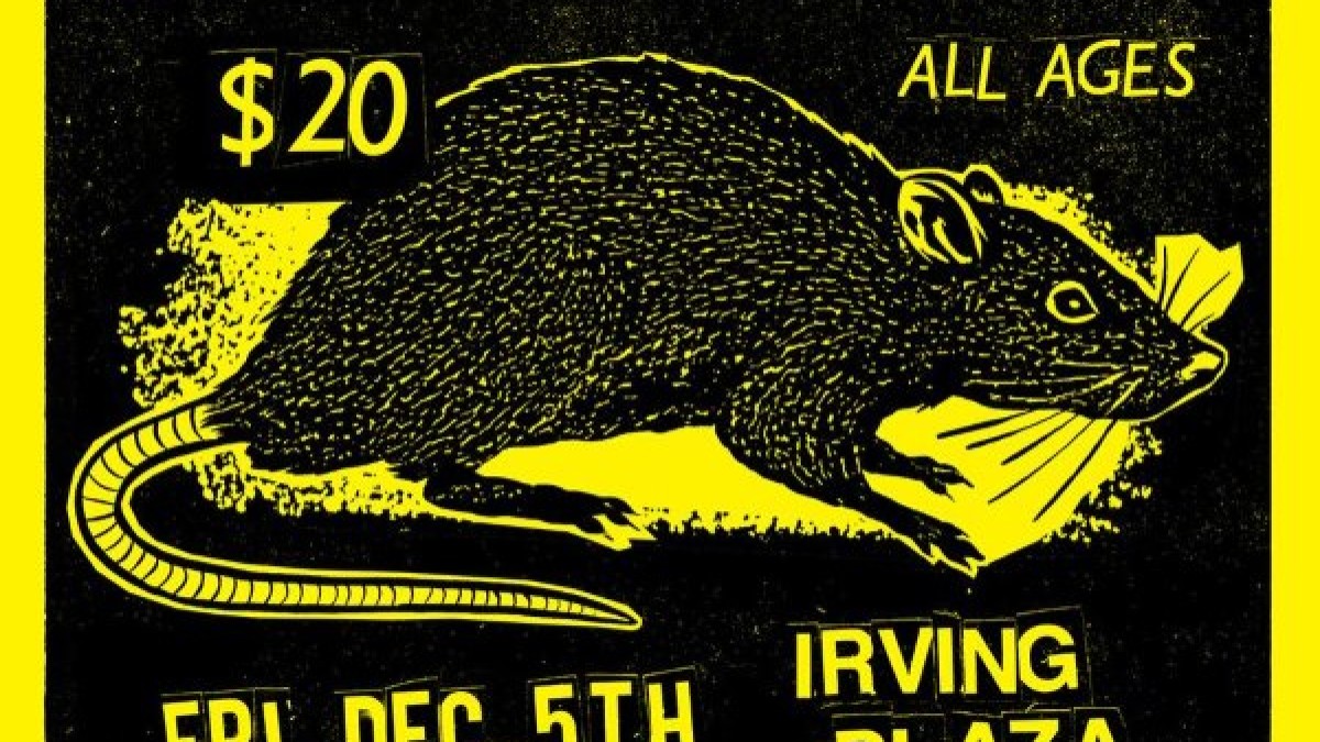 Foo Fighters Announce Intimate New York City Gig