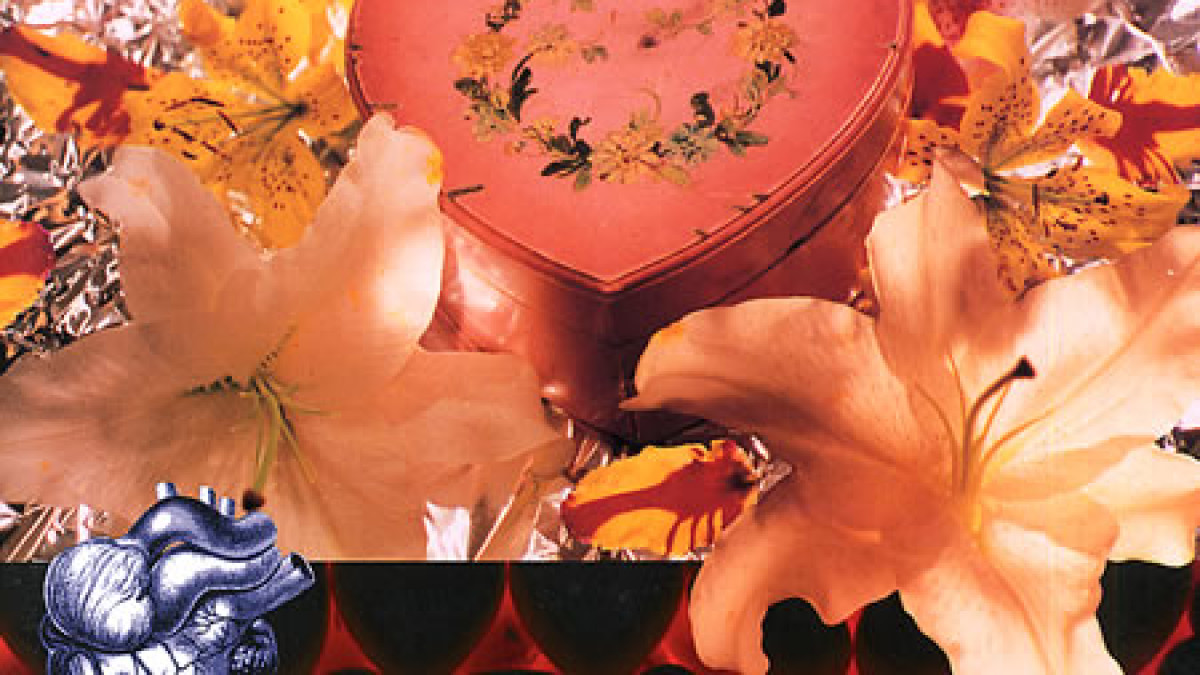 Director's Cut Of Nirvana Heart Shaped Box Video Surfaces Online