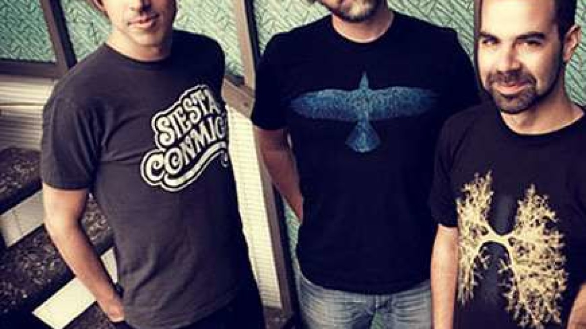 Introducing | Incidental Animals Mid-Atlantic Run