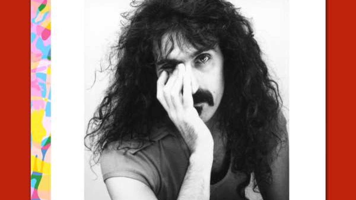 Frank Zappa Joe's Camouflage Available For Ordering