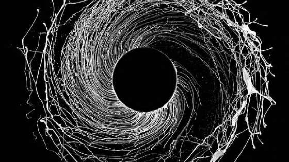 Weekly RecommNeds | Dawn Of Midi And Melt Yourself Down