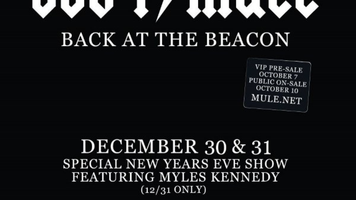 Gov't Mule Announces New Year's Run & Live Releases