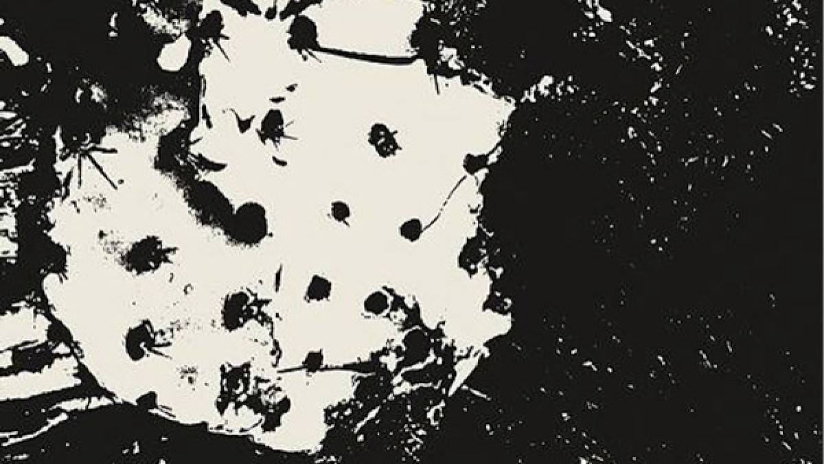RecommNeds | The Myrrors and Moth Effect
