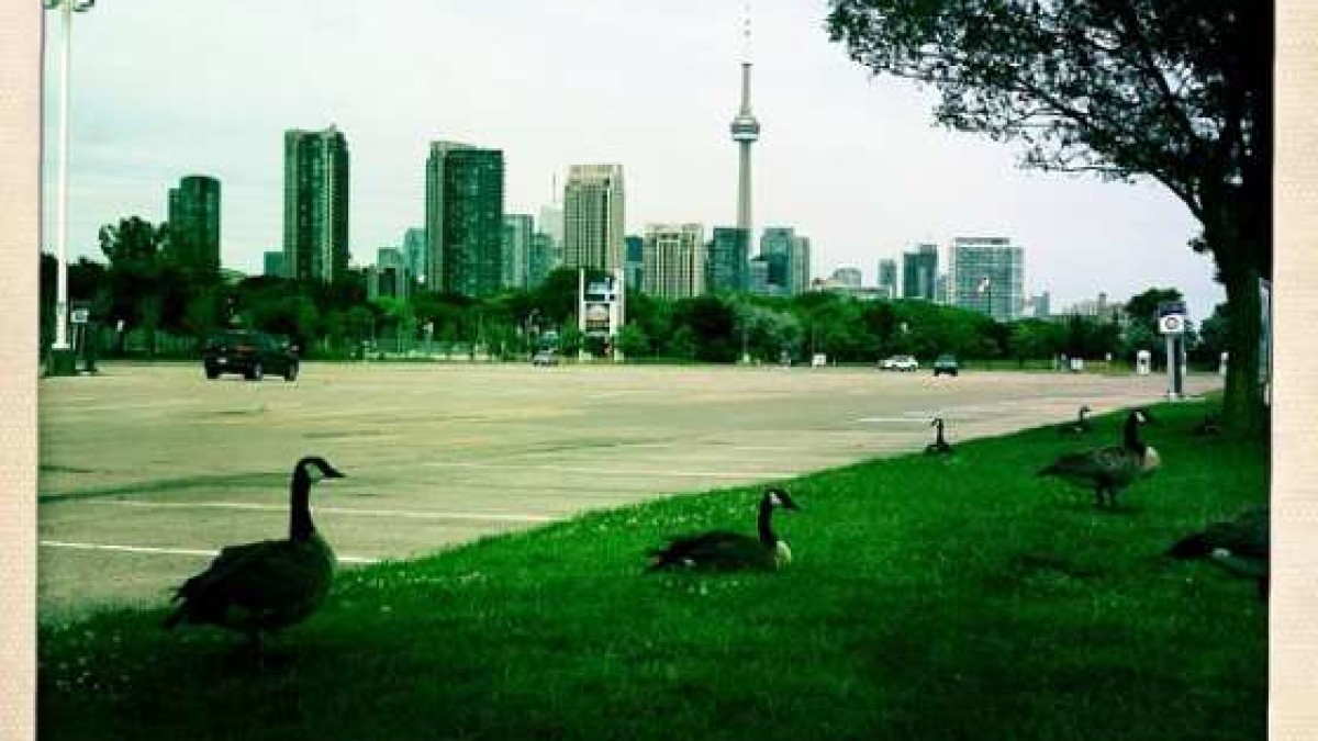 Phish Toronto 2013 Setlist And The Skinny