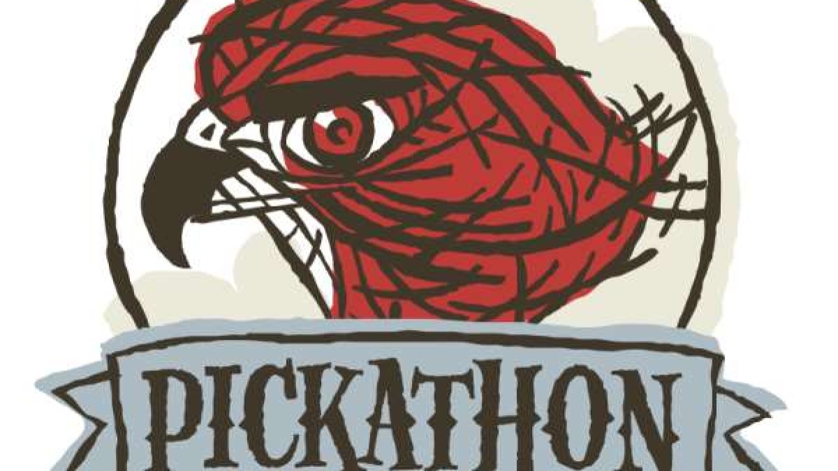 Pickathon 2014 Lineup | Nickel Creek, Marco & More