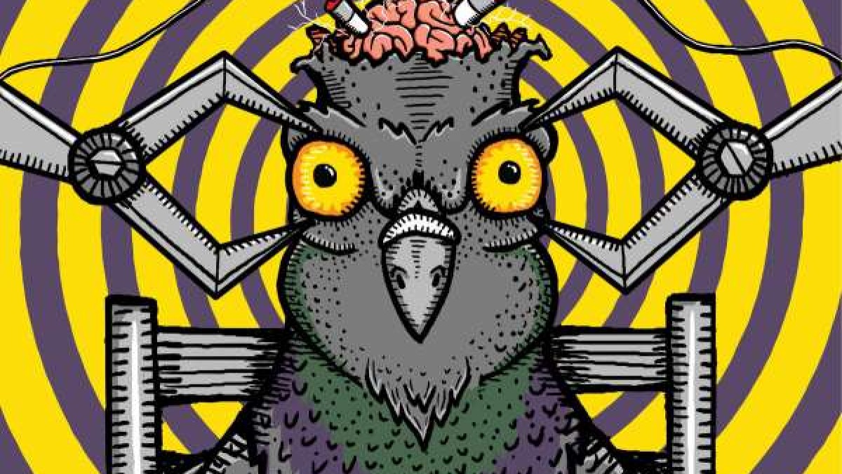 Premiere | Pigeons Playing Ping Pong - Zydeko