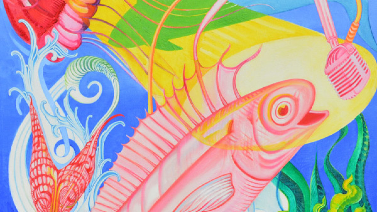 Tour Dates | Pink Talking Fish Adds Dates