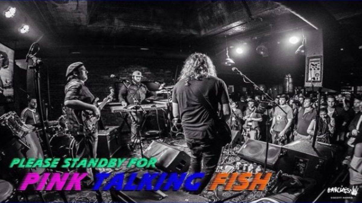 Couch Tour Alert | Pink Talking Fish Live From AURA