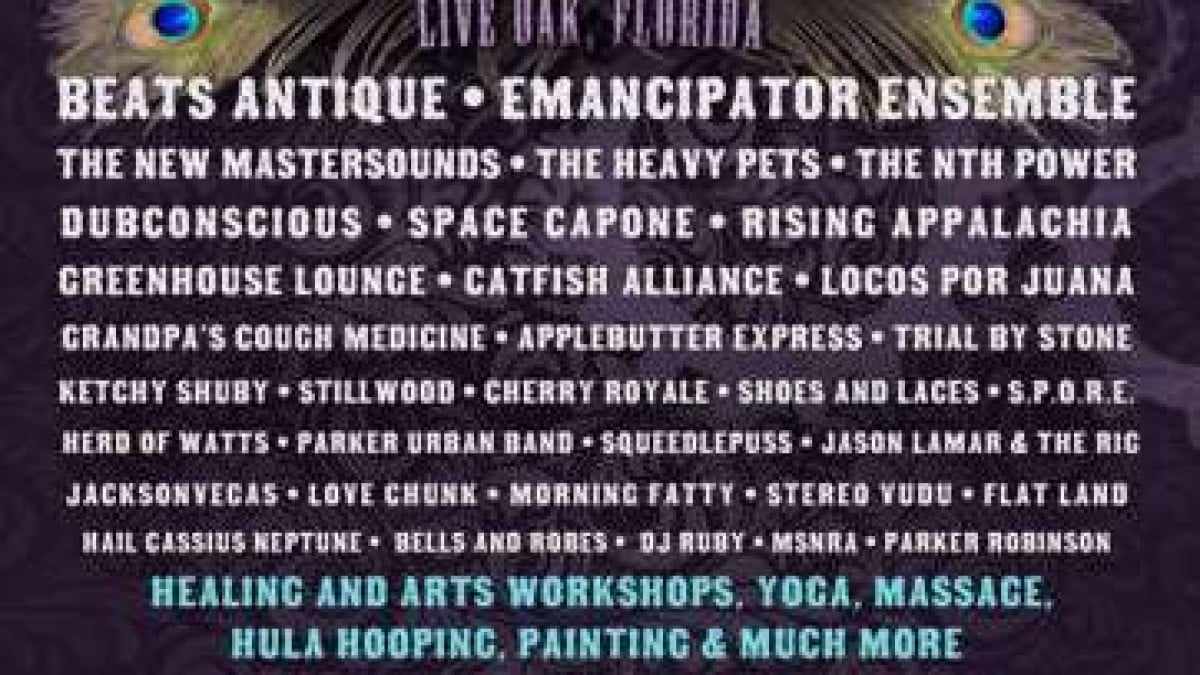 Purple Hatter's Ball 2014 | Beats Antique, Mastersounds, Pets