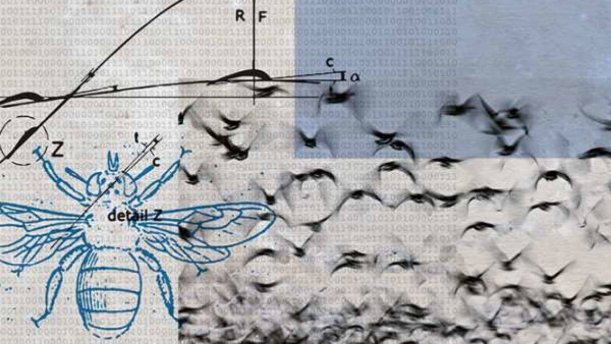 Kyle Hollingsworth Announces New Album | Speed Of Life