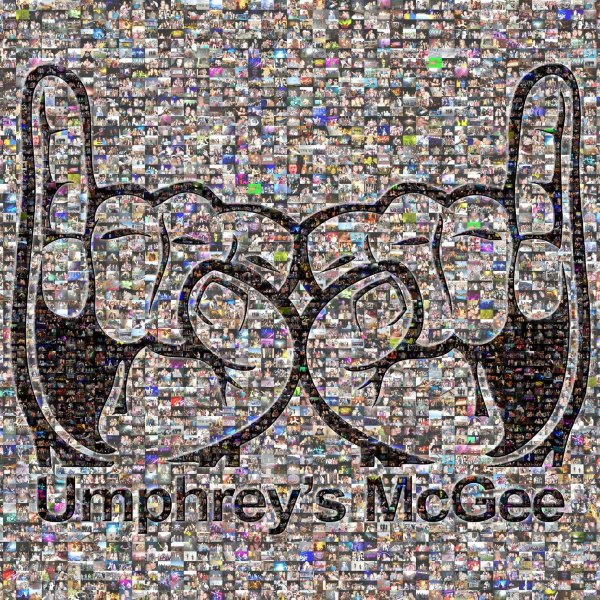 Umphreys McGee Nothing Too Fancy Everyday Ale Coming