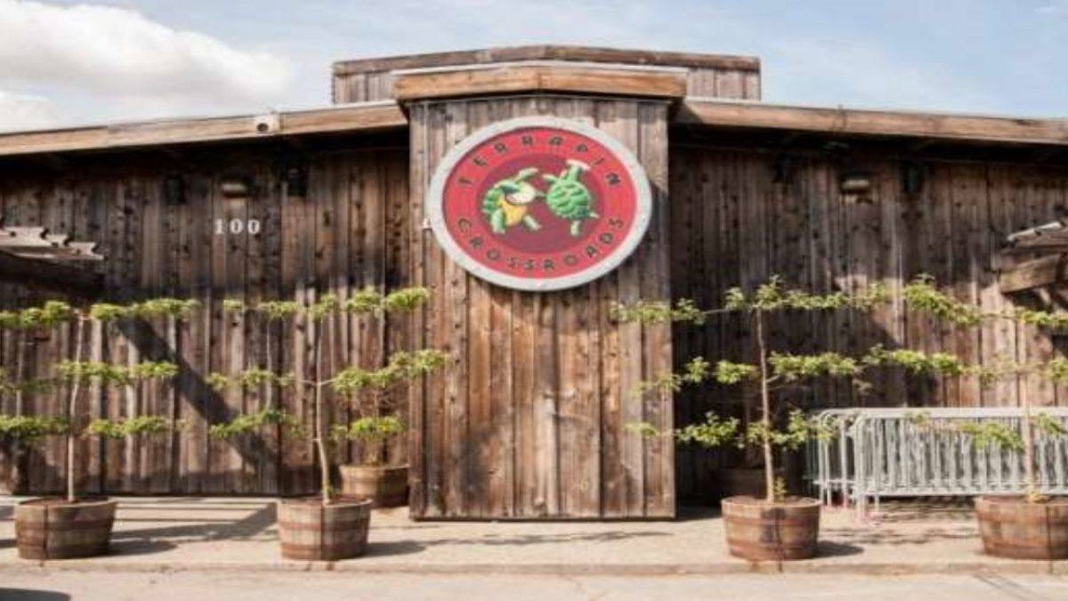 Terrapin Crossroads To Host Cinco De Mayo House Party