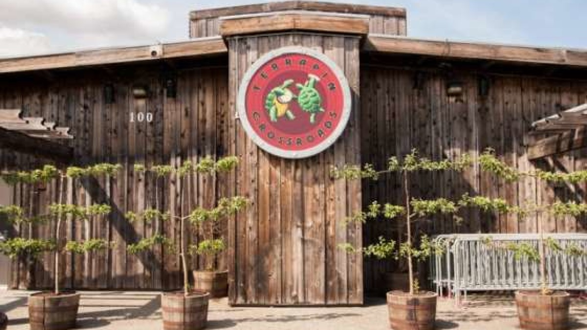 Phil Lesh & Friends To Honor 1973 & 1974 Grateful Dead At Terrapin