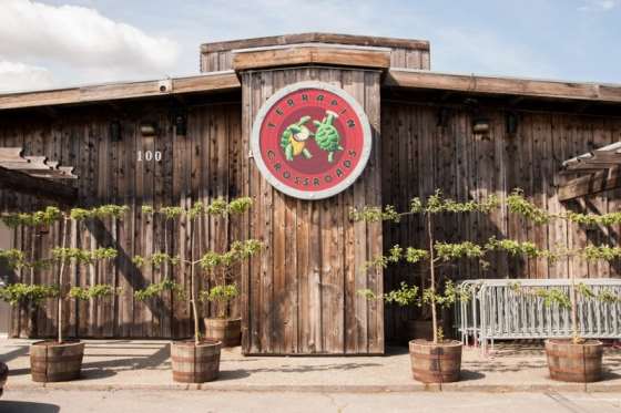 Willie Watson To Make Terrapin Crossroads Debut