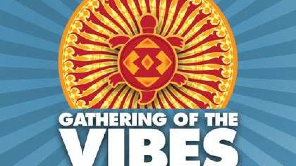 Vibes | Panic, moe., UM, Disco Biscuits With Rhythm Devils