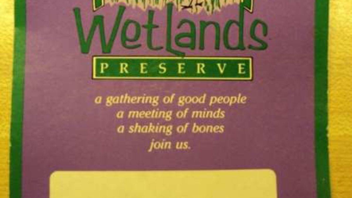 Stormy Mondays | Wetlands All-Star Jam August 2000