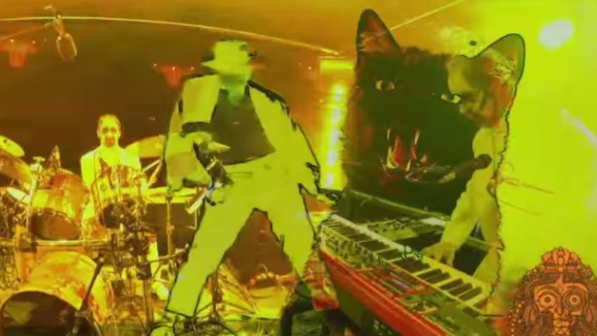 Fan-Made Video | Phish Chilling, Thrilling Your Pet Cat