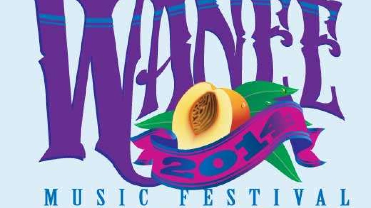 Wanee And Bonnaroo 2014 Early Bird Tickets