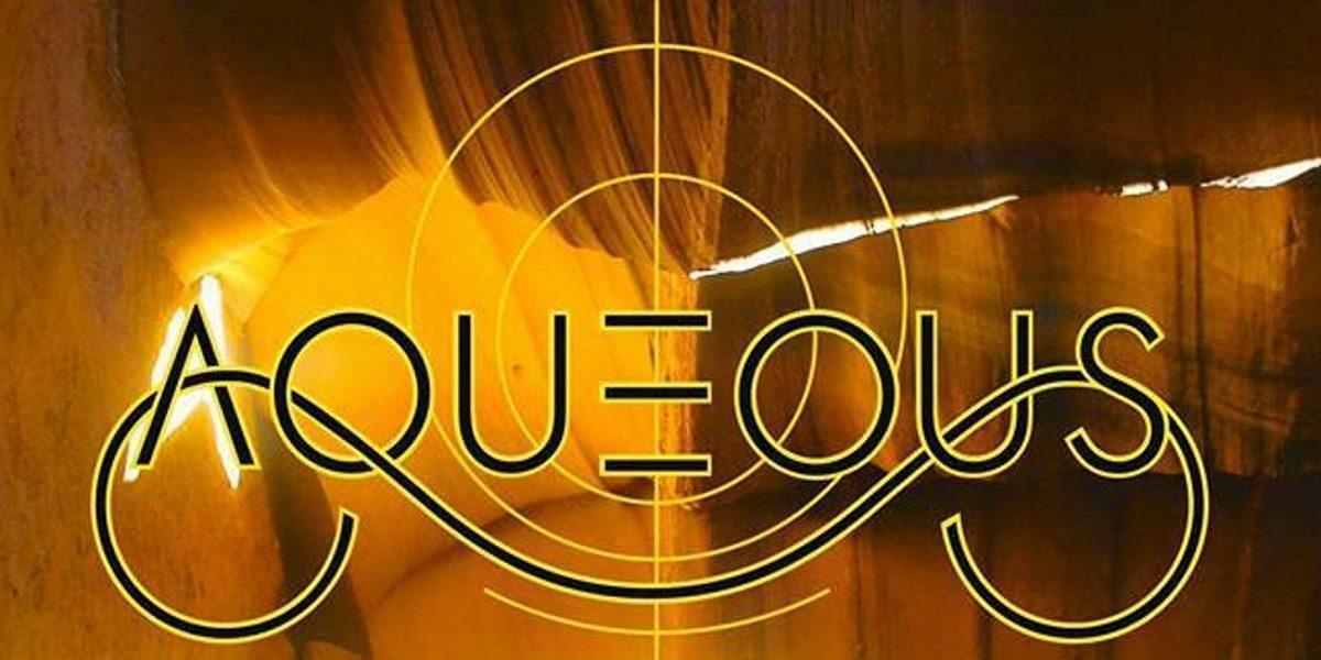 Aqueous Summer16 logo