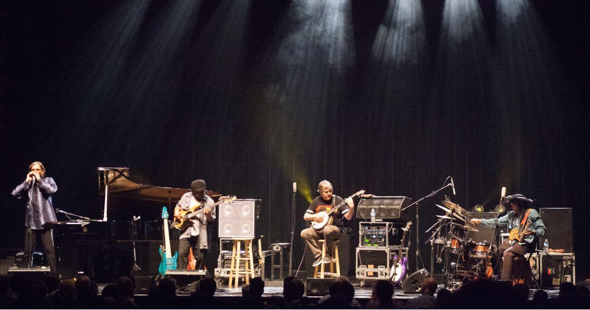 Flecktones Kleiber Crop 2