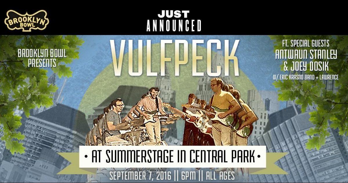 Vulfpeck Summerstage Crop