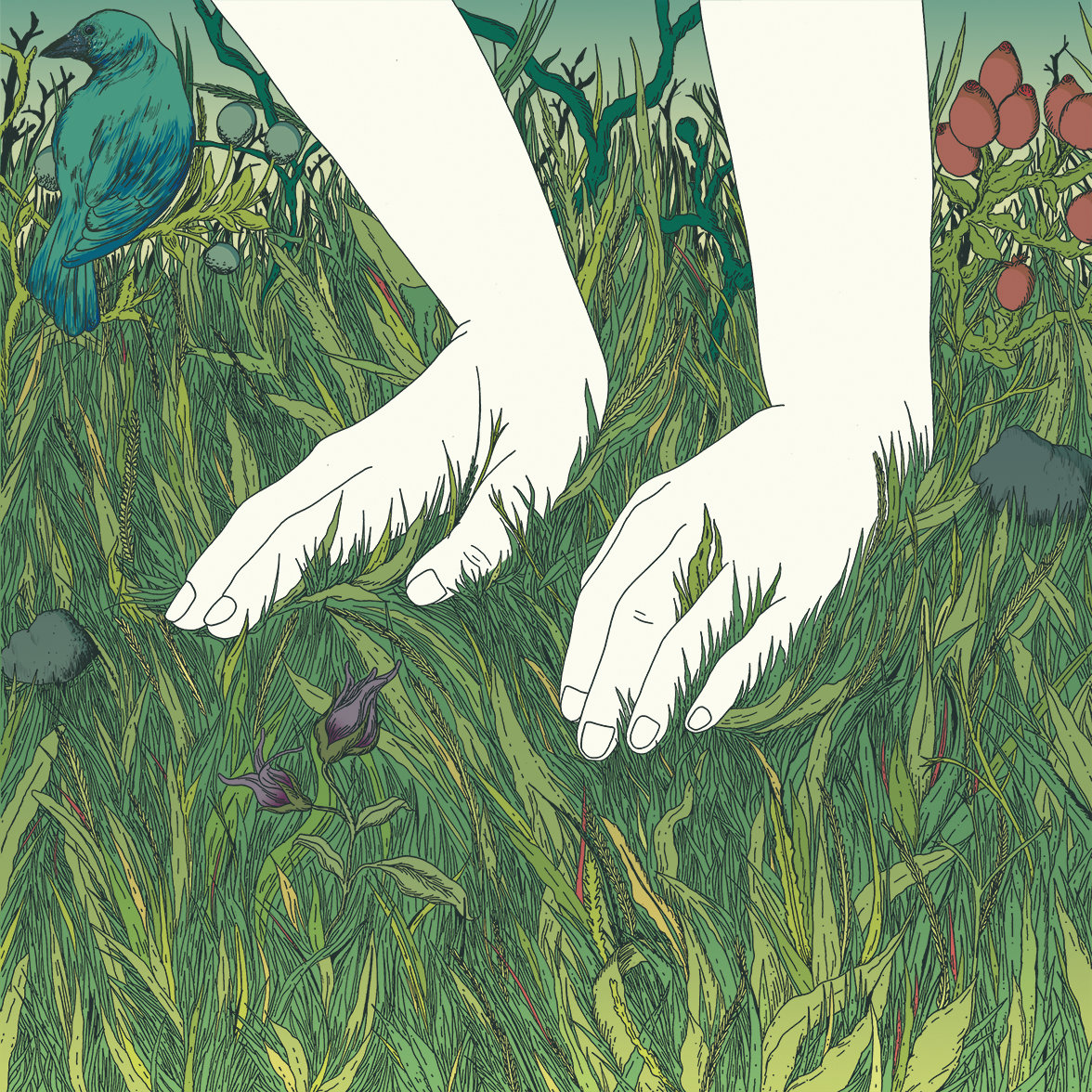 El Manto de la Especie Cover