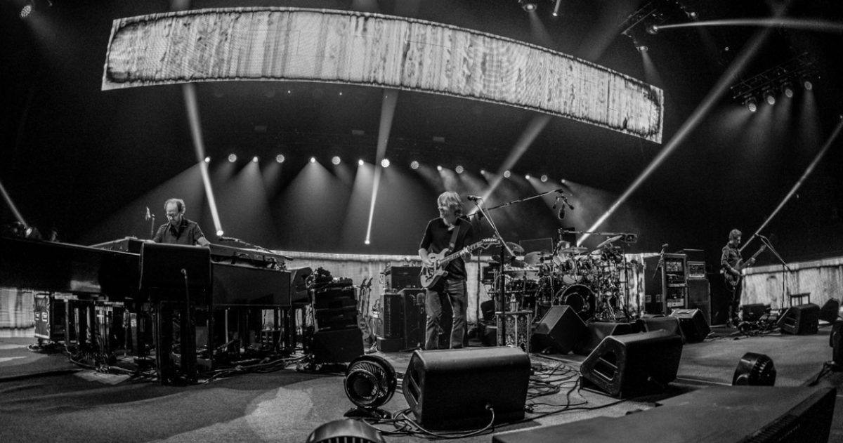 Phish Citone Crop 2