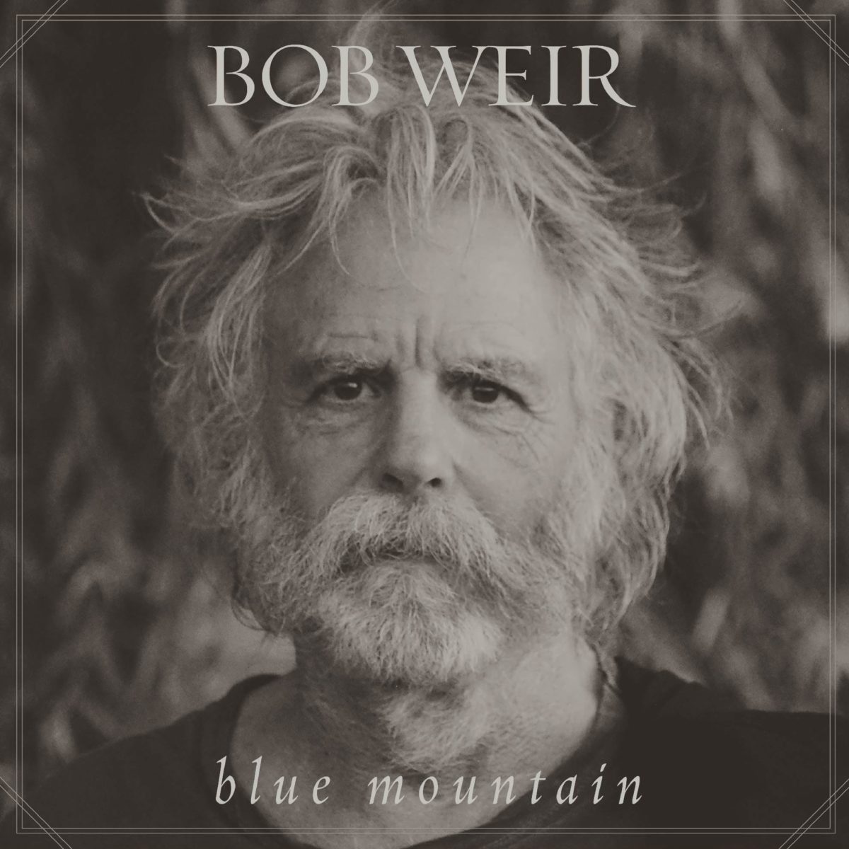 Bob Weir Blue Mountain 2