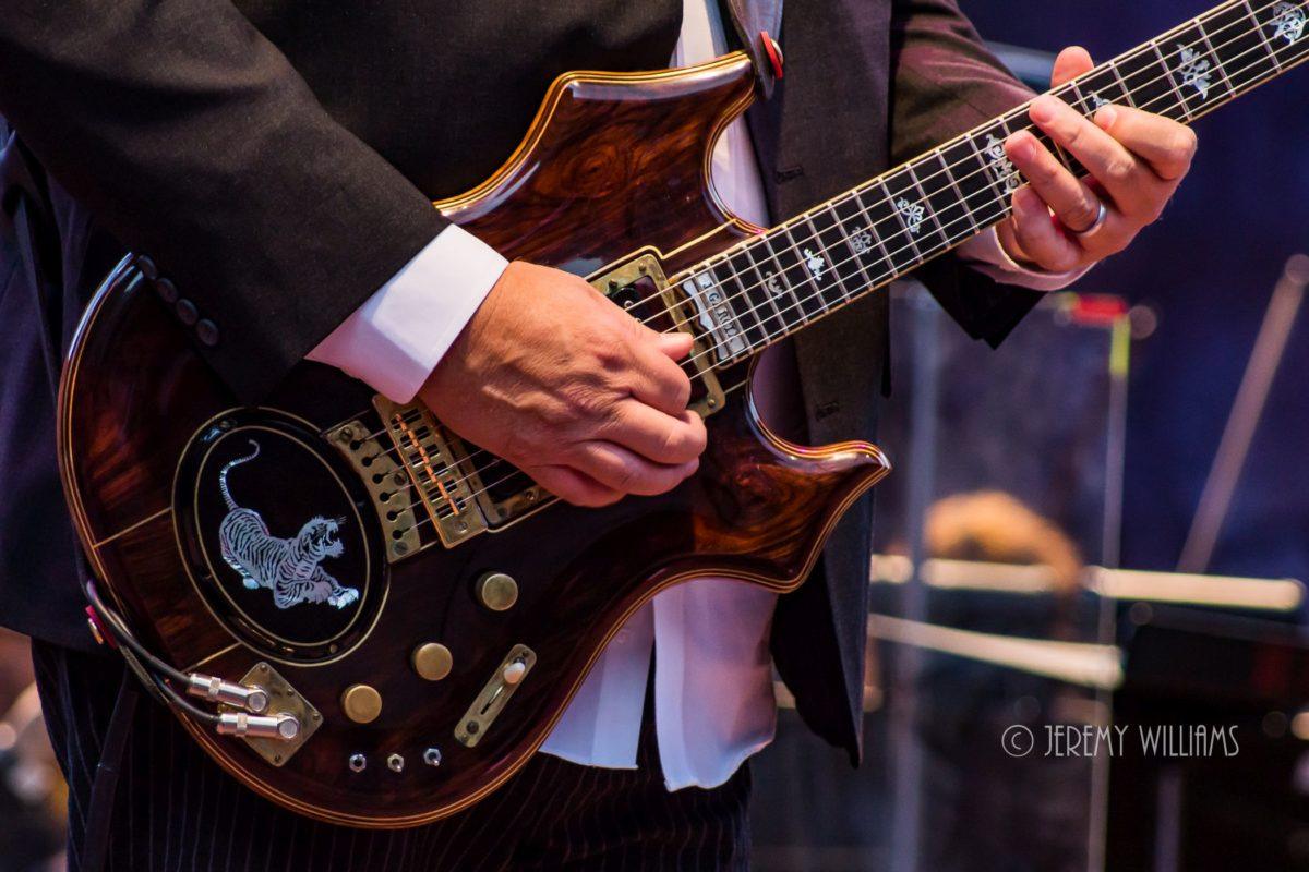 Warren Haynes Tiger Red Rocks Jeremy Williams