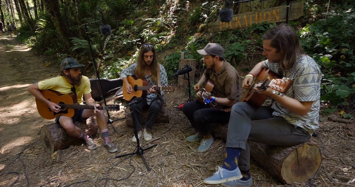 Vetiver Pickathon Crop