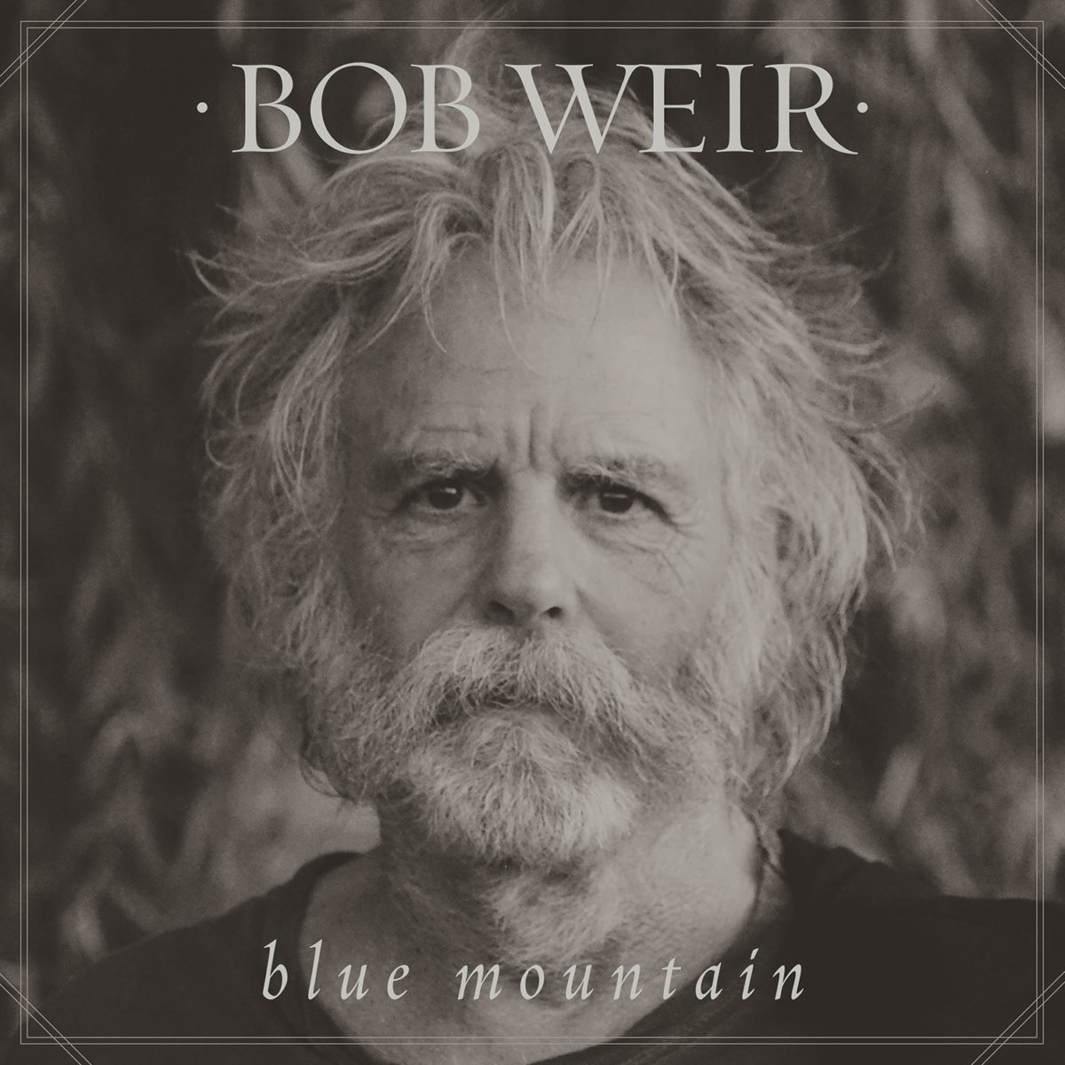 blue-moutain-cover