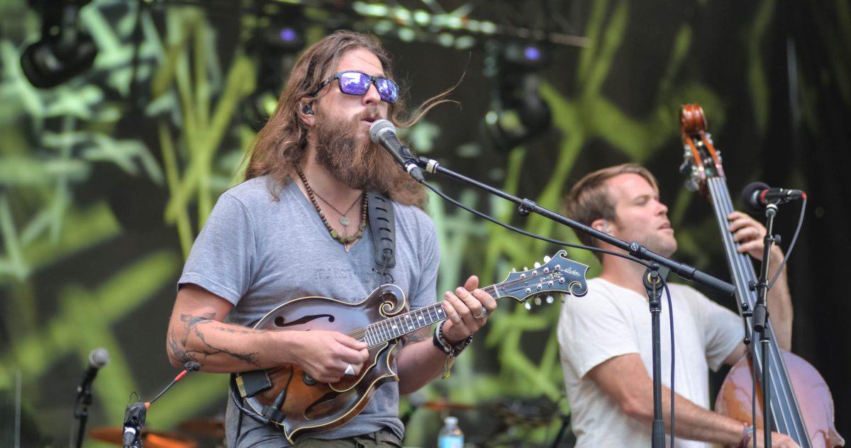 Greensky Bluegrass Foster Crop 3