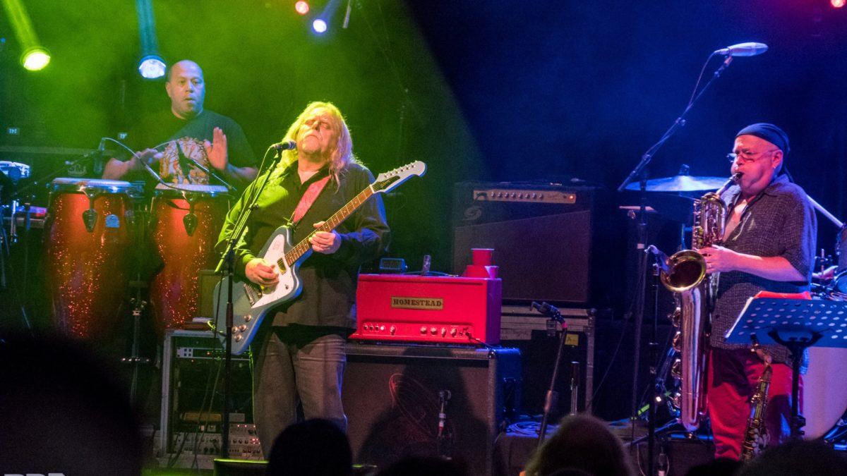 Gov't Mule Honors Traffic At Mule-O-Ween Concert In Albany - Review, Photos, Videos & Setlist