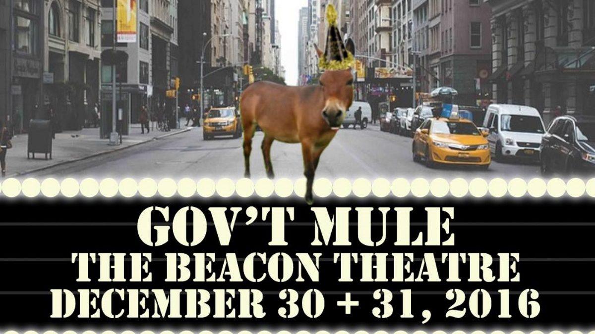 Gov't Mule Announces 2016 - 2017 New Year's Shows